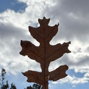 Meet your Posher, H.